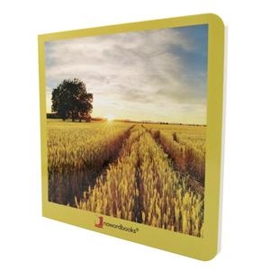 CAMPO 17 | 9788412171099