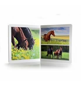 ANIMALES DE GRANJA  GRAN FORMATO | 9788412344547