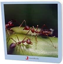 ANIMALITOS | 9788494585432 | MARTÍN MARTÍNEZ, DAVID