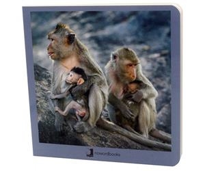 ANIMALES EN FAMILIA 02 28 | 9788494810367