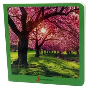 PRIMAVERA 31 | 9788412171006