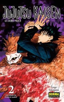 JUJUTSU KAISEN 02 CATALÀ | 9788467957563 | GEGE, AKUTAMI