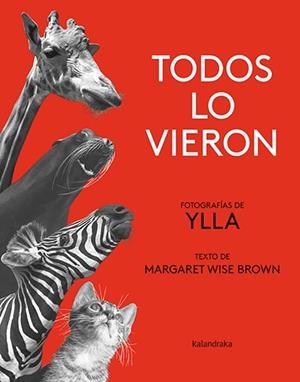 TODOS LO VIERON | 9788413431840 | BROWN, MARGARET WISE