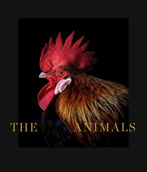 THE ANIMALS | 9788418934063 | DE CASTRO, ESTELA