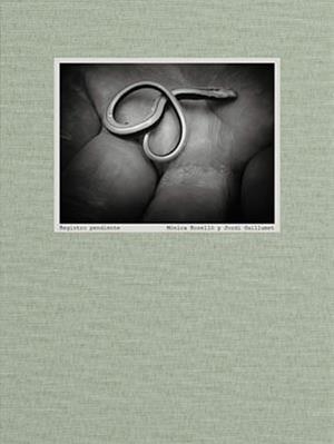 REGISTRO PENDIENTE | 9788409413386 | GUILLUMET, JORDI ROSELLO, MONICA