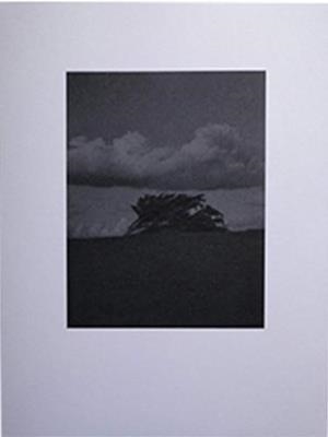 LA GRAVETAT DEL LLOC | 9788409128822 | ARIÑO TORRES, ISRAEL