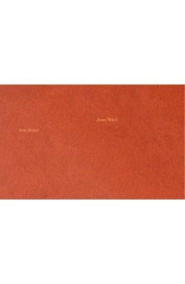 SON BOTER. JOAN MIRÓ | 9788409112937 | SPAHNI, RIF