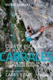 CABRALES, GUÍA DE ESCALADA DE AVENTURA | 9788498295757 | SÁNCHEZ MARTÍNEZ, VÍCTOR