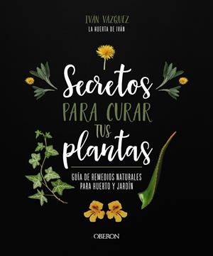 SECRETOS PARA CURAR TUS PLANTAS | 9788441547162 | VÁZQUEZ MUÑOZ, IVÁN