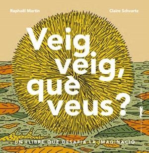 VEO VEO, ¿QUÉ VES? | 9788412570441 | MARTIN, RAPHAËL