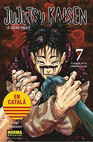 JUJUTSU KAISEN 07 CATALA | 9788467957617 | GEGE, AKUTAMI