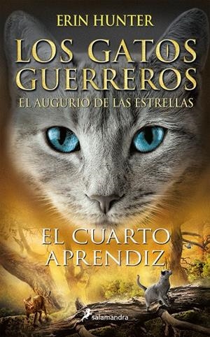 LOS GATOS GUERREROS | EL AUGURIO DE LAS ESTRELLAS 1 - EL CUARTO APRENDIZ | 9788418174292 | HUNTER, ERIN