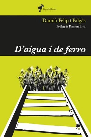 D'AIGUA I DE FERRO | 9788412575255 | FELIP I FALGAS, DAMIA