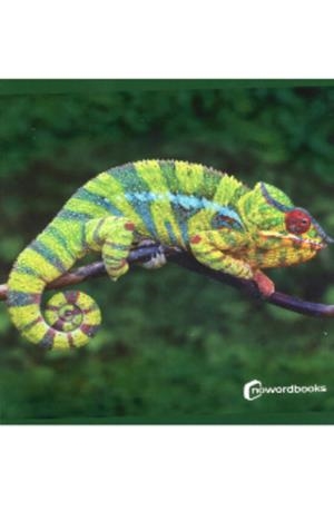 ANIMALES DE LA SELVA | 9788412683615 | AA.VV.