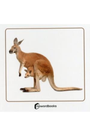 ANIMALES SALVAJES Y SUS CRIAS | 9788412683639 | AA.VV.