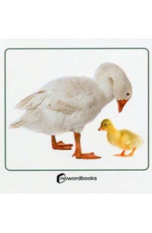 ANIMALES DOMESTICOS Y SUS CRIAS | 9788412683622 | AA.VV.