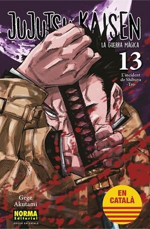 JUJUTSU KAISEN 13 CATALA | 9788467957679 | GEGE, AKUTAMI