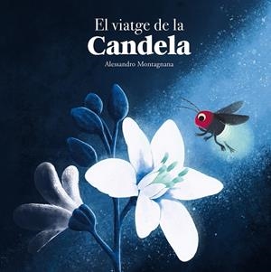 EL VIATGE DE LA CANDELA | 9788410074415 | MONTAGNANA, ALESSANDRO