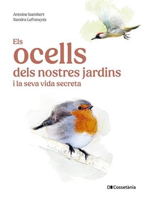 ELS OCELLS DELS NOSTRES JARDINS I LA SEVA VIDA SECRETA | 9788413563626 | ISAMBERT, ANTOINE/LEFRANÇOIS, SANDRA
