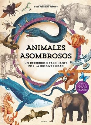 ANIMALES ASOMBROSOS | 9788410269101 | MUSEO NACIONAL DE CIENCIAS NATURALES
