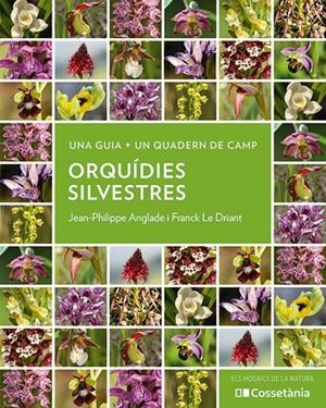 ORQUÍDIES SILVESTRES | 9788413564920 | ANGLADE, JEAN-PHILIPPE/LE DRIANT, FRANCK