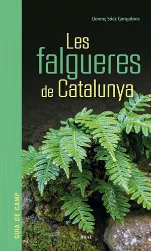 LES FALGUERES DE CATALUNYA | 9791387701017 | SÁEZ GONYALONS, LLORENÇ