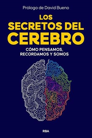 LOS SECRETOS DEL CEREBRO | 9788410981249