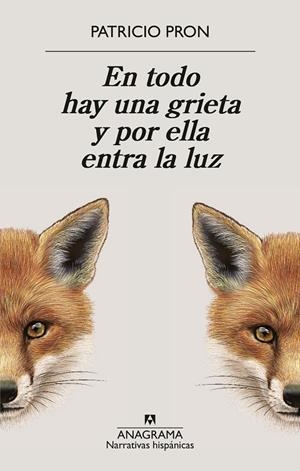 EN TODO HAY UNA GRIETA Y POR ELLA ENTRA LA LUZ | 9788433949158 | PRON, PATRICIO
