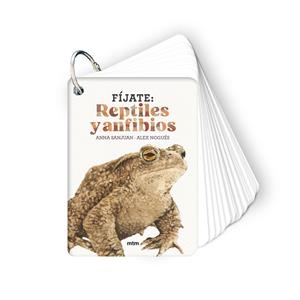 FÍJATE: REPTILES Y ANFIBIOS | 9788410407596 | SANJUAN LLORENS, ANNA/NOGUÉS, ALEX