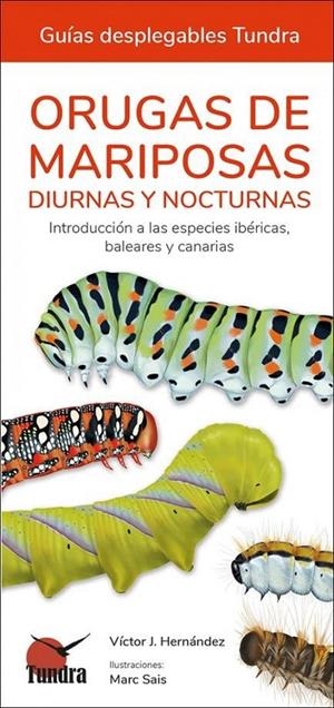 ORUGAS DE MARIPOSAS - GUIAS DESPLEGABLES TUNDRA | 9788418458613 | VICTOR J HERNANDEZ