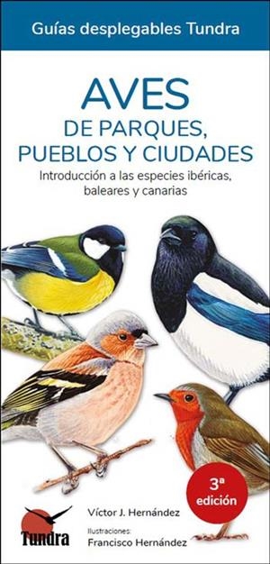 AVES DE PARQUES, PUEBLOS Y CIUDADES 13 | 9788418458194