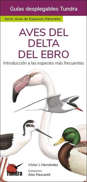 AVES DEL DELTA DEL EBRO - GUIAS DESPLEGABLES TUNDRA | 9788418458941 | HERNANDEZ, VICTOR J.