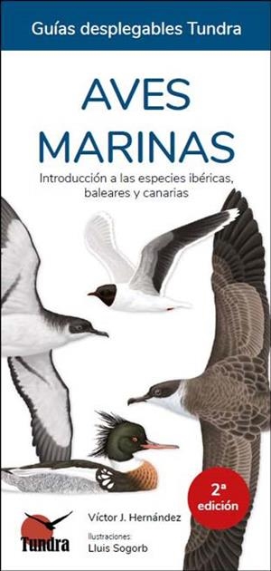 AVES MARINAS - GUIAS DESPLEGABLES TUNDRA | 9788419624178 | HERNANDEZ, VICTOR J.