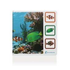 ENCUÉNTRAME EN EL MAR | 9791399054286 | AA.VV.