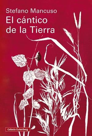 EL CÁNTICO DE LA TIERRA | 9791388019845 | MANCUSO, STEFANO