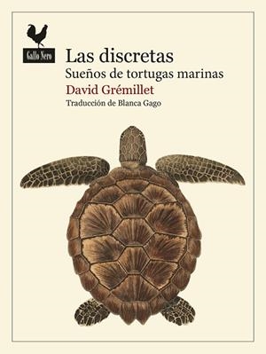 LAS DISCRETAS | 9788419168986 | GRÉMILLET, DAVID
