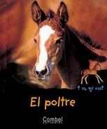 EL POLTRE | 9788478642151 | BARBÉ-JULIEN, COLETTE