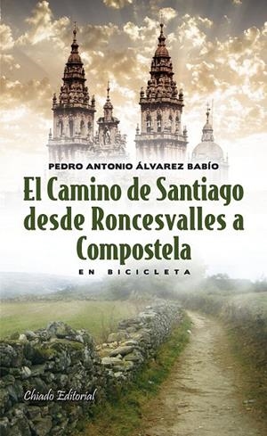 EL CAMINO DE SANTIAGO DESDE RONCESVALLES A COMPOSTELA | 9789895110742 | ÁLVAREZ BABÍO, PEDRO ANTONIO