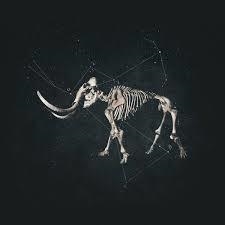 ANIMIC HANNIBAL VINIL | 8435015514242 | ANIMIC