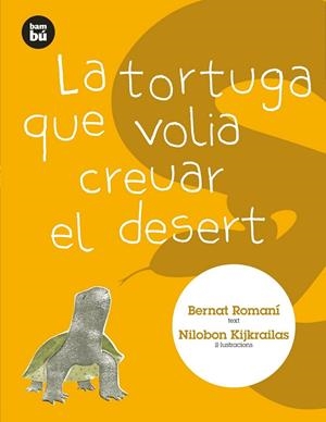 LA TORTUGA QUE VOLIA CREUAR EL DESERT | 9788483431313 | ROMANÍ, BERNAT