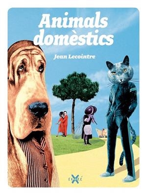 ANIMALS DOMÈSTICS | 9788493991265 | JEAN LACOINTRE