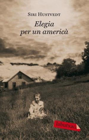 ELEGIA PER UN AMERICÀ | 9788499301297 | SIRI HUSTVEDT