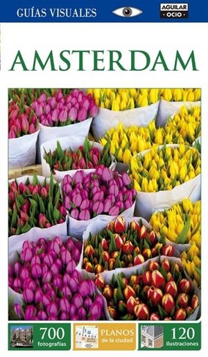 AMSTERDAM (GUÍAS VISUALES 2015) | 9788403514324 | VARIOS AUTORES
