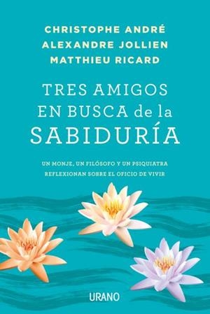 TRES AMIGOS EN BUSCA DE LA SABIDURÍA | 9788479539481 | RICARD, MATTHIEU/ANDRÉ, CHRISTOPHE/JOLLLIEN, ALEXANDRE