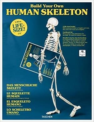 HUMAN SKELETON | 9783836572545