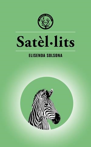 SATÈL·LITS | 9788494917073 | SOLSONA MARGARIT, ELISENDA