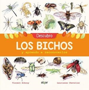 DESCUBRO LOS BICHOS Y APRENDO A RECONOCERLOS | 9788491422969 | ALBOUY, VINCENT