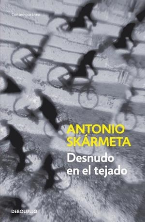 DESNUDO EN EL TEJADO | 9788497931205 | SKÁRMETA, ANTONIO